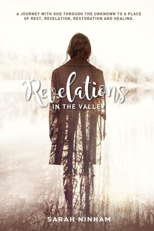 Cover of the book Revelations in the Valley by sarah ninham, sarah ninham
