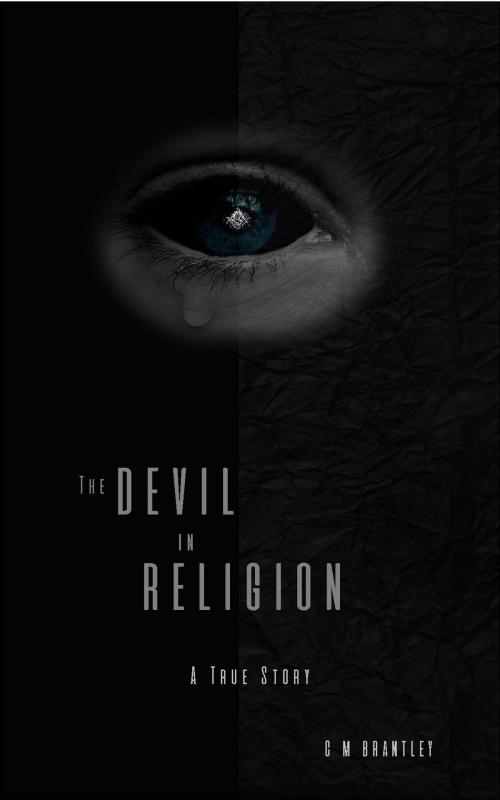 Cover of the book The Devil in Religion by C M Brantley, C M Brantley
