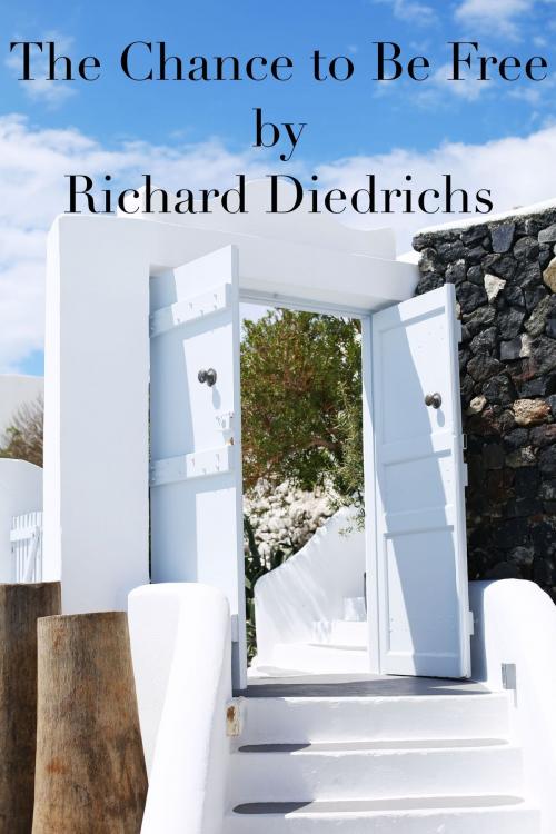 Cover of the book The Chance to Be Free by Richard Diedrichs, Richard Diedrichs