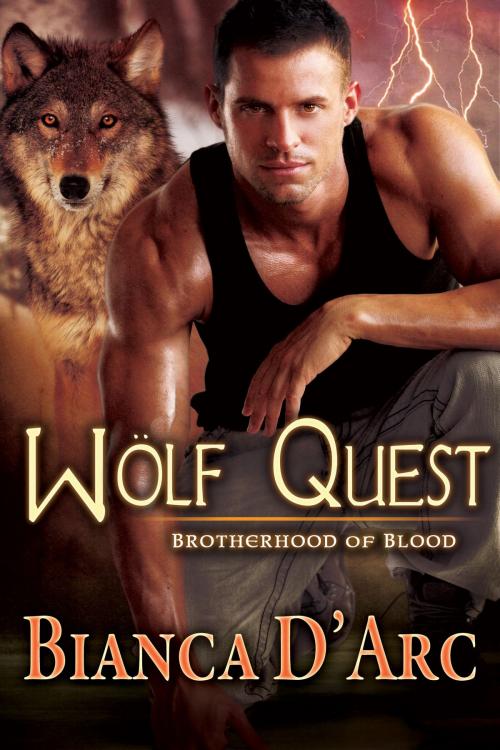 Cover of the book Wolf Quest by Bianca D'Arc, Hawk Publishing