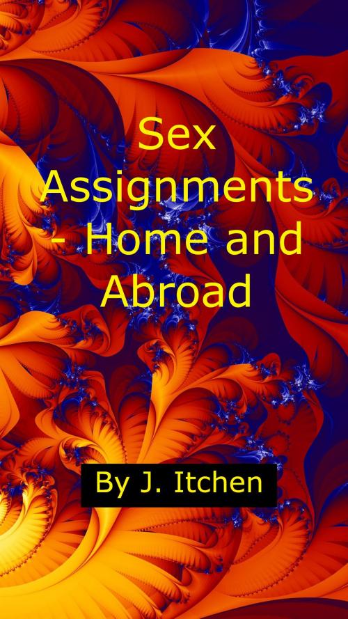 Cover of the book Sex Assignments: Home and Abroad by J Itchen, J Itchen