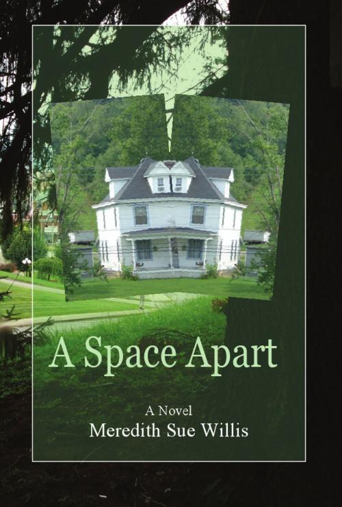 Cover of the book A Space Apart by Meredith Sue Willis, Hamilton  Stone