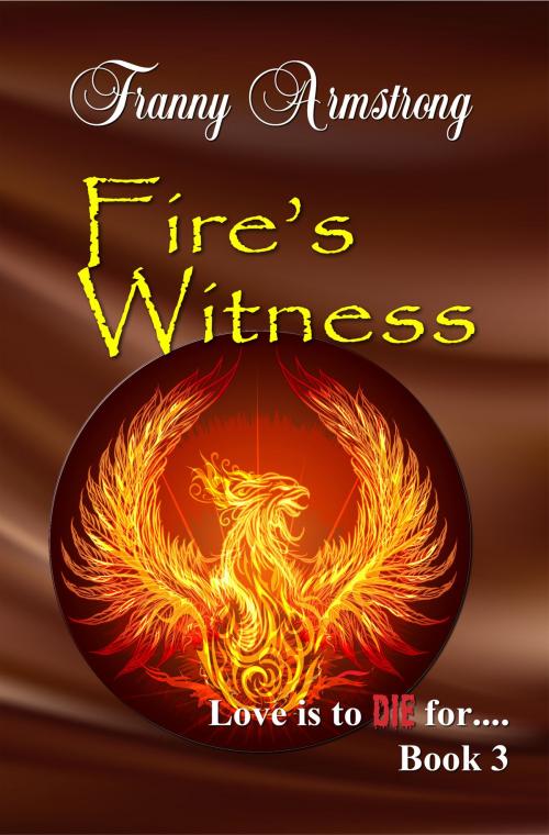 Cover of the book Fire's Witness by Franny Armstrong, Franny Armstrong