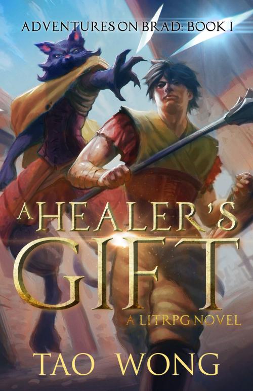 Cover of the book A Healer's Gift by Tao Wong, Tao Wong