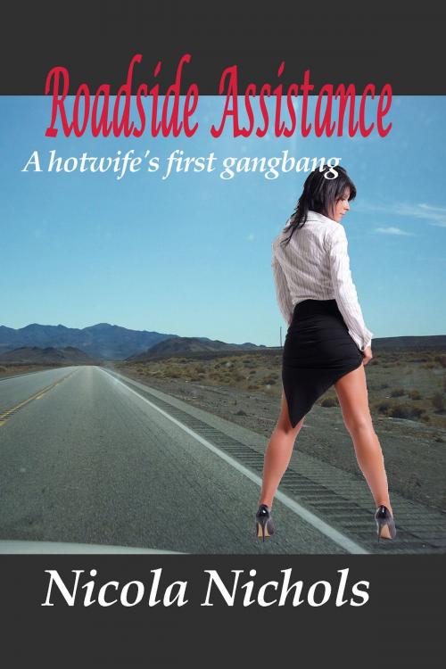 Cover of the book Roadside Assistance by Nicola Nichols, Boruma Publishing, LLC