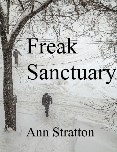 Cover of the book Freak Sanctuary by Ann Stratton, Ann Stratton