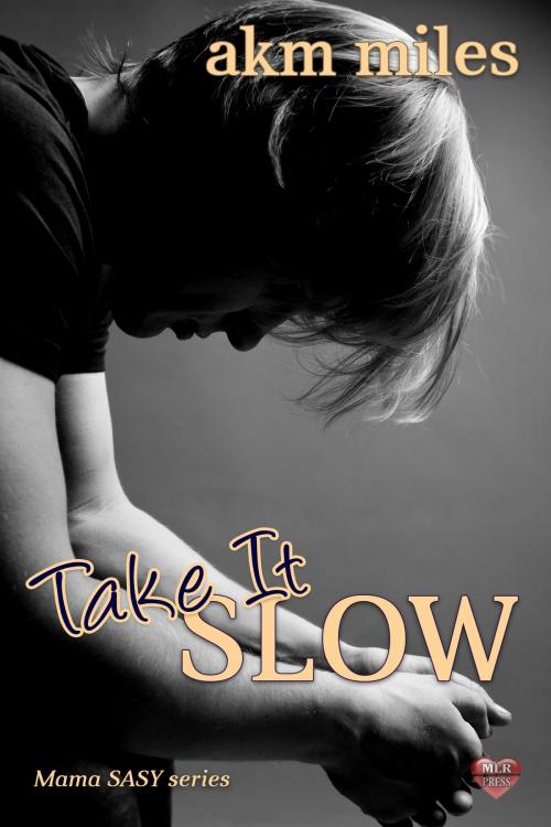 Cover of the book Take It SLOW by AKM Miles, MLR Press