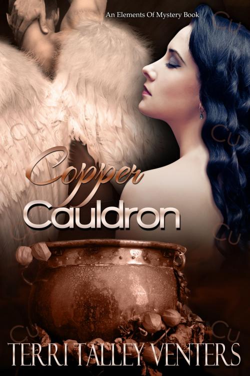 Cover of the book Copper Cauldron by Terri Talley Venters, Terri Talley Venters