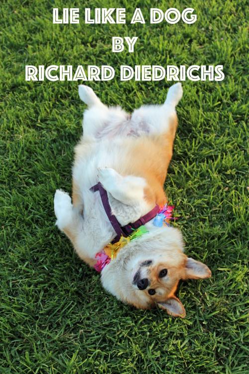 Cover of the book Lie Like a Dog by Richard Diedrichs, Richard Diedrichs