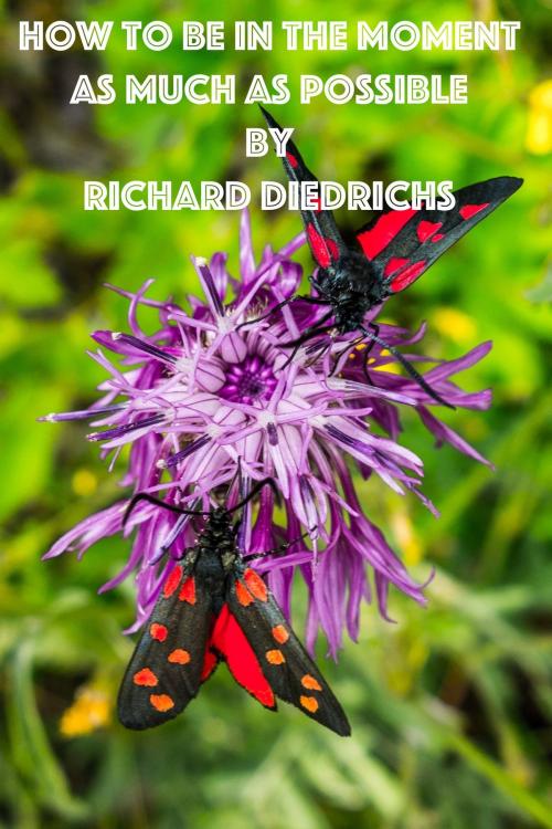Cover of the book How to Be in the Moment As Much As Possible by Richard Diedrichs, Richard Diedrichs
