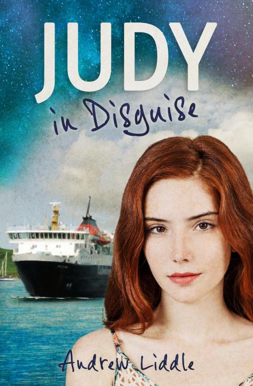 Cover of the book Judy in Disguise by Drew Liddle, Drew Liddle