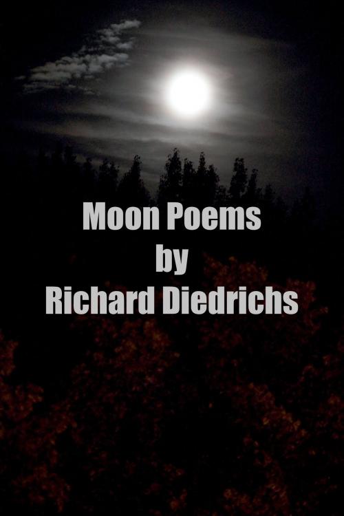 Cover of the book Moon Poems by Richard Diedrichs, Richard Diedrichs