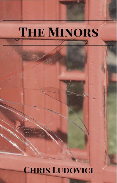 Cover of the book The Minors by Chris Ludovici, Unsolicited Press