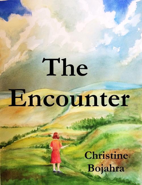 Cover of the book The Encounter by Christine Bojahra, Christine Bojahra