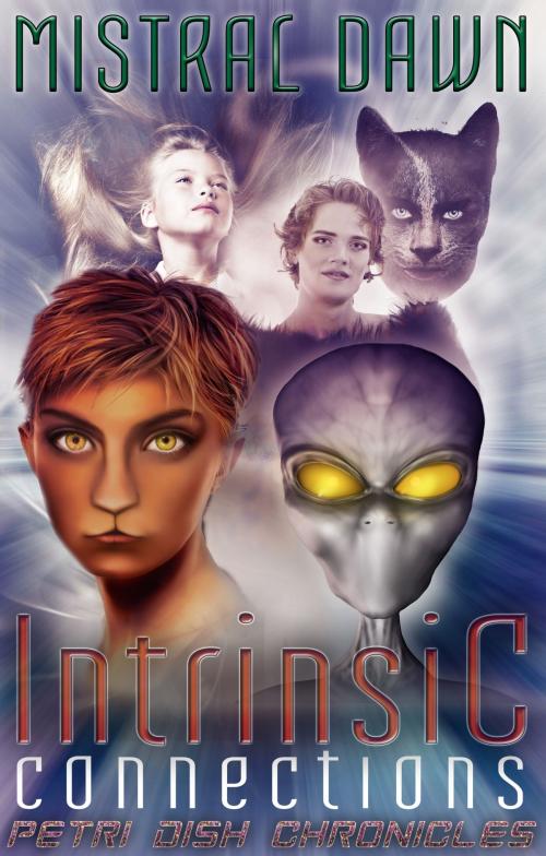 Cover of the book Intrinsic Connections by Mistral Dawn, Mistral Dawn