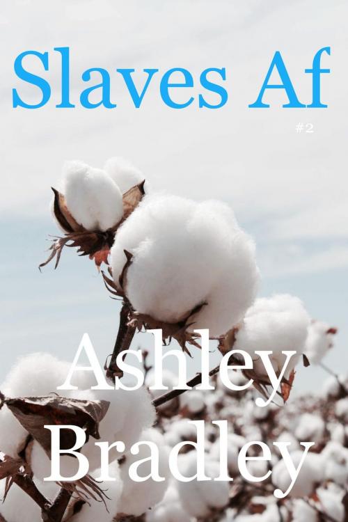 Cover of the book Slaves Af #2 by Ashley Bradley, Ashley Bradley