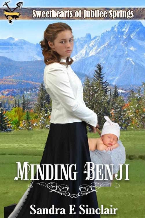 Cover of the book Minding Benji by Sandra E Sinclair, Sandra E Sinclair