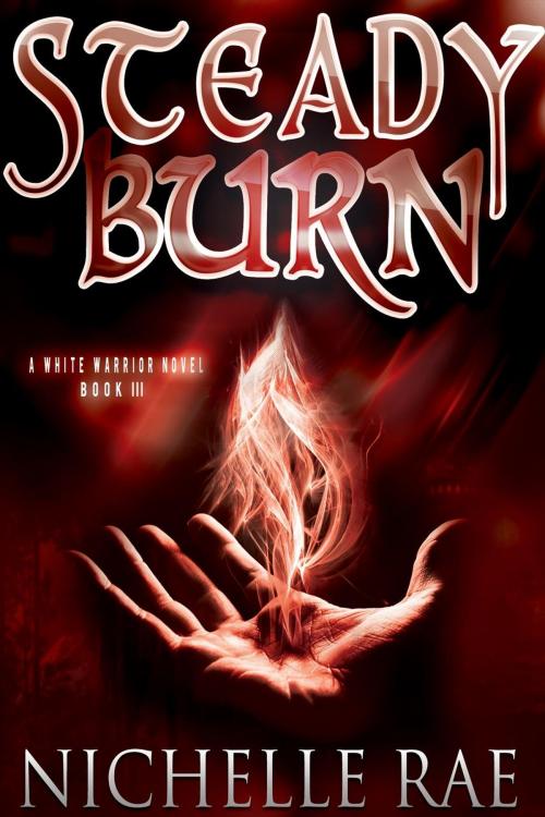 Cover of the book Steady Burn by Nichelle Rae, Nichelle Rae