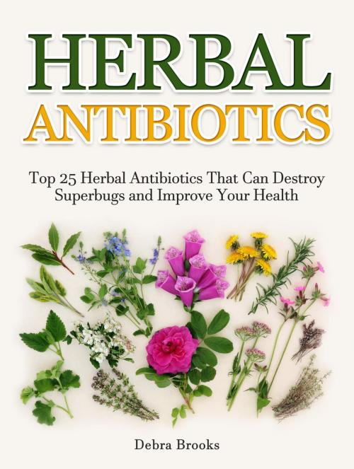 Cover of the book Herbal Antibiotics: Top 25 Herbal Antibiotics That Can Destroy Superbugs and Improve Your Health by Debra Brooks, Cloud 42 Solutions