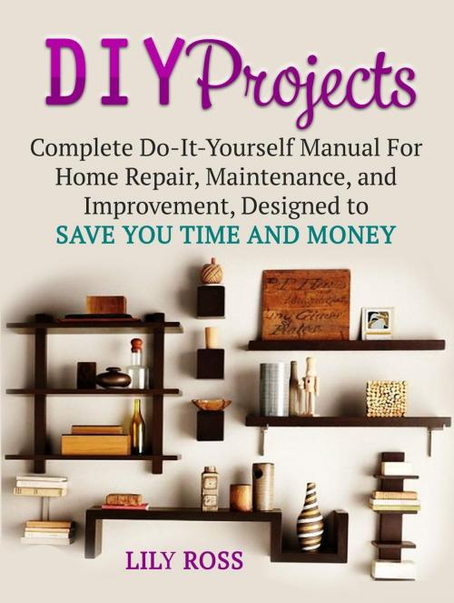 Cover of the book DIY Projects: Complete Do-It-Yourself Manual For Home Repair, Maintenance, and Improvement, Designed to Save You Time and Money by Lily Ross, Jet Solutions
