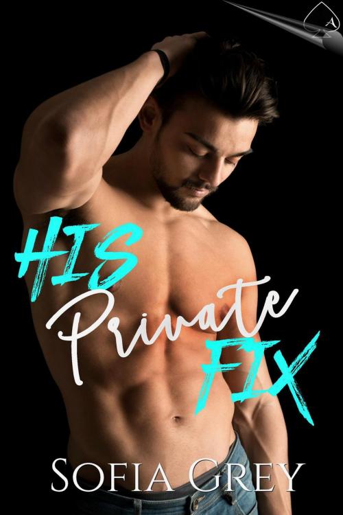 Cover of the book His Private Fix by Sofia Grey, Acelette Press