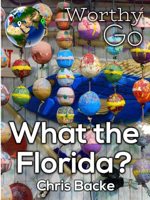Cover of the book What the Florida by Chris Backe, Worthy Go