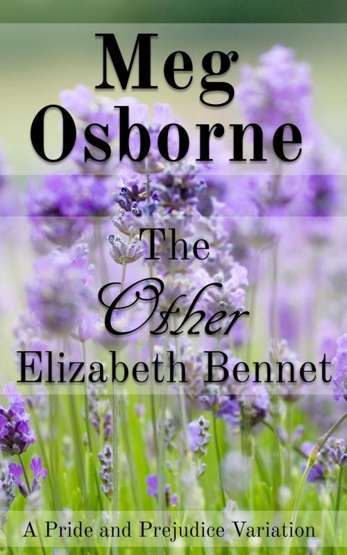 Cover of the book The Other Elizabeth Bennet: A Pride and Prejudice Variation Novella by Meg Osborne, Meg Osborne