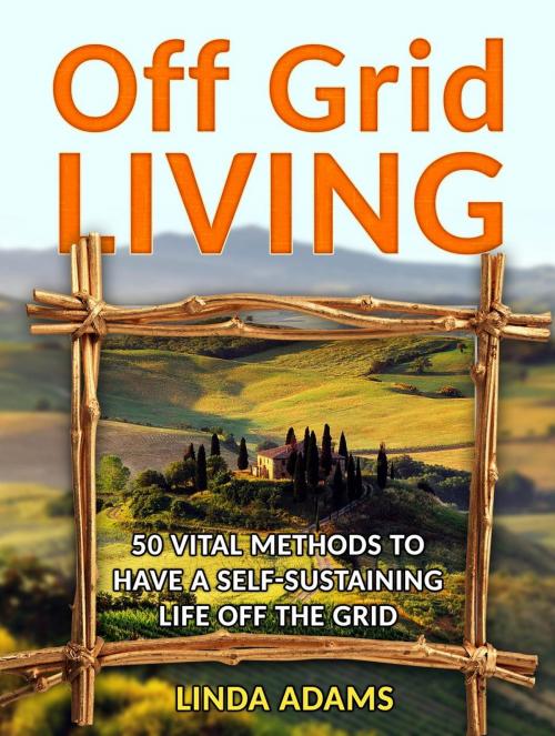 Cover of the book Off Grid Living: 50 Vital Methods to Have a Self-Sustaining Life Off the Grid by Linda Adams, Cloud 42 Solutions