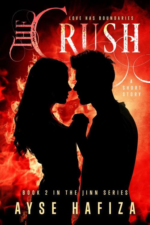 Cover of the book The Crush by Ayse Hafiza, Ayse Hafiza