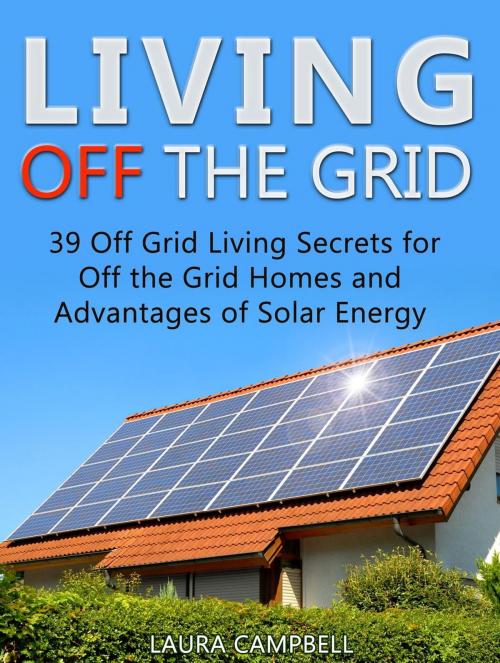 Cover of the book Living Off The Grid: 39 Surprisingly Effective Ways to Make a Self-Reliant and Hassle Free Living off the Grid by Laura Campbell, Cloud 42 Solutions