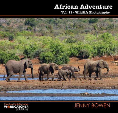Cover of the book African Adventure: Wildlife Photography by JENNY BOWEN, Wordcatcher Publishing