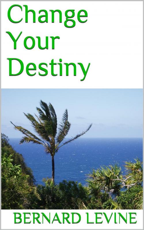 Cover of the book Change Your Destiny by Bernard Levine, Bernard Levine