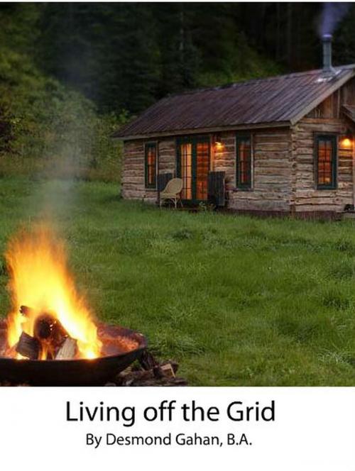 Cover of the book Living off the Grid by Desmond Gahan, Sepharial
