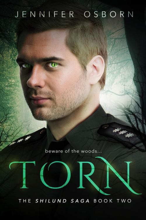 Cover of the book Torn by Jennifer Osborn, Jennifer Osborn