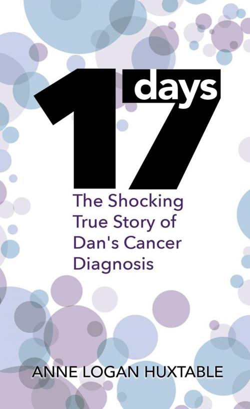 Cover of the book 17 Days by ANNE LOGAN HUXTABLE, Wordcatcher Publishing