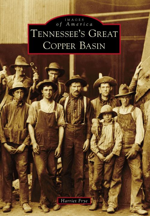 Cover of the book Tennessee’s Great Copper Basin by Harriet Frye, Arcadia Publishing Inc.