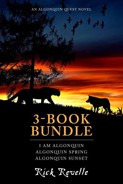 Cover of the book Algonquin Quest 3-Book Bundle by Rick Revelle, Dundurn