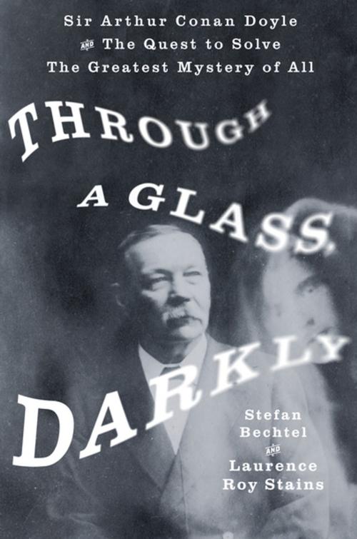 Cover of the book Through a Glass, Darkly by Stefan Bechtel, Laurence Roy Stains, St. Martin's Press