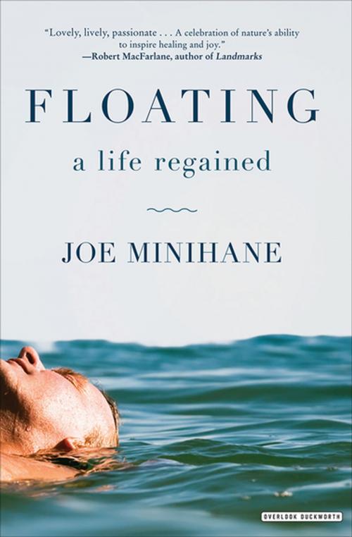 Cover of the book Floating by Joe Minihane, ABRAMS (Ignition)