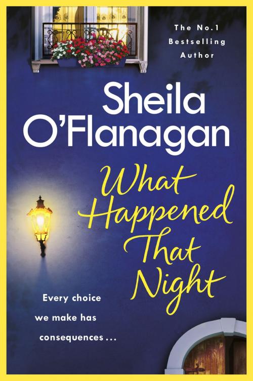 Cover of the book What Happened That Night by Sheila O'Flanagan, Headline