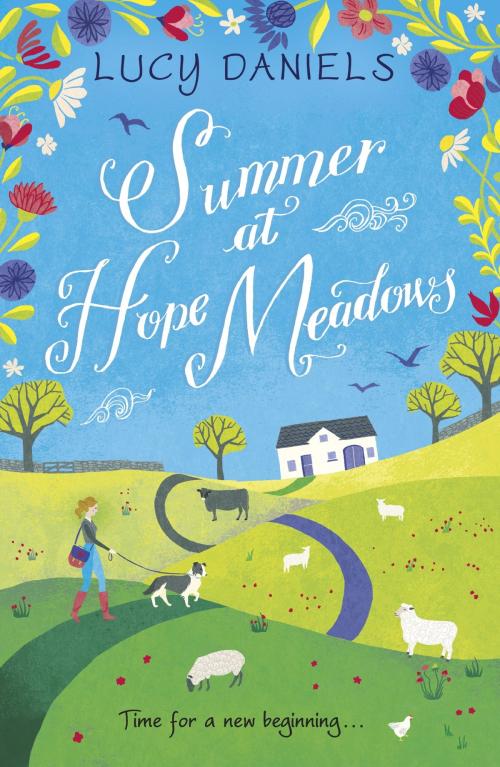 Cover of the book Summer at Hope Meadows by Lucy Daniels, Hodder & Stoughton