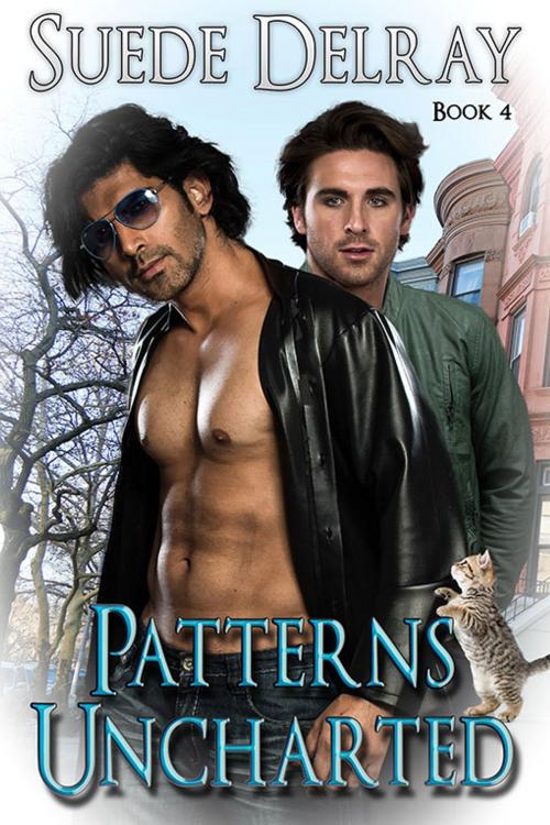 Cover of the book Patterns Uncharted by Suede Delray, eXtasy Books Inc