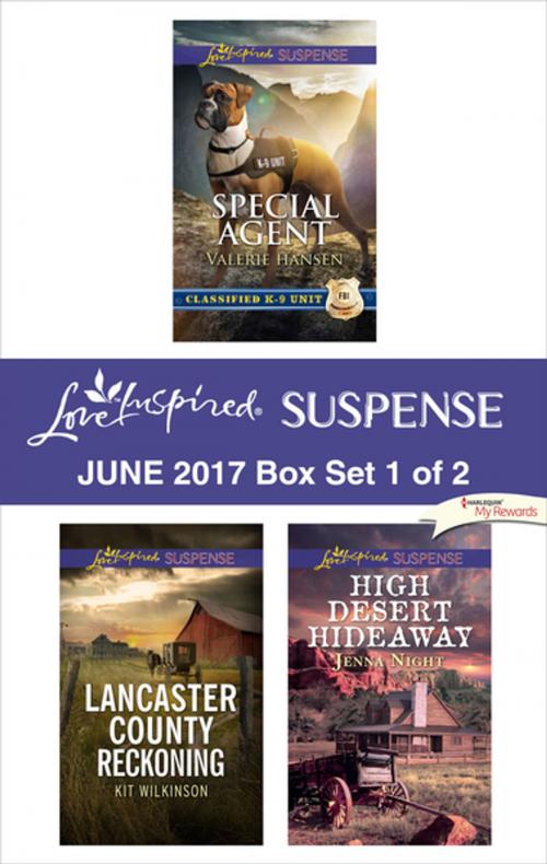Cover of the book Harlequin Love Inspired Suspense June 2017 - Box Set 1 of 2 by Valerie Hansen, Kit Wilkinson, Jenna Night, Harlequin