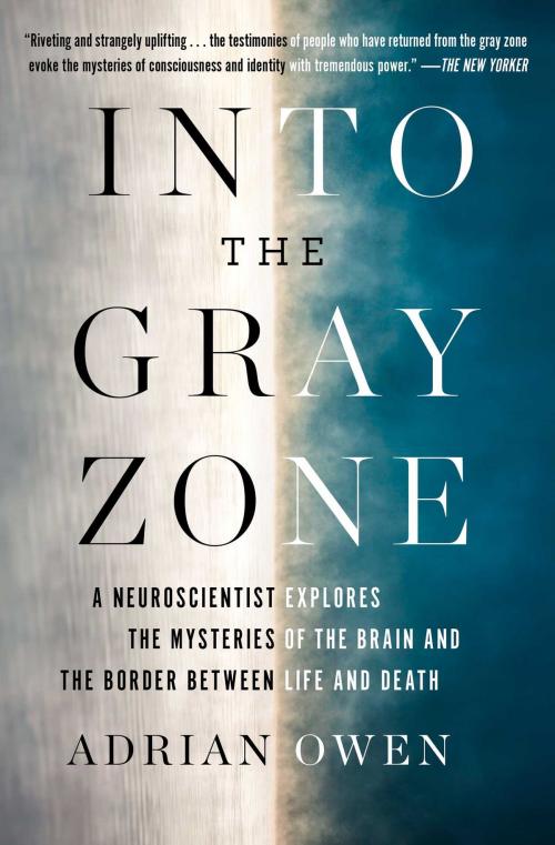 Cover of the book Into the Gray Zone by Adrian Owen, Scribner