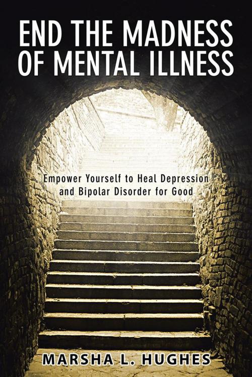Cover of the book End the Madness of Mental Illness by Marsha L. Hughes, Balboa Press