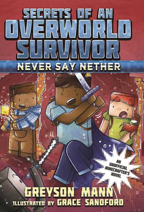 Cover of the book Never Say Nether by Greyson Mann, Sky Pony
