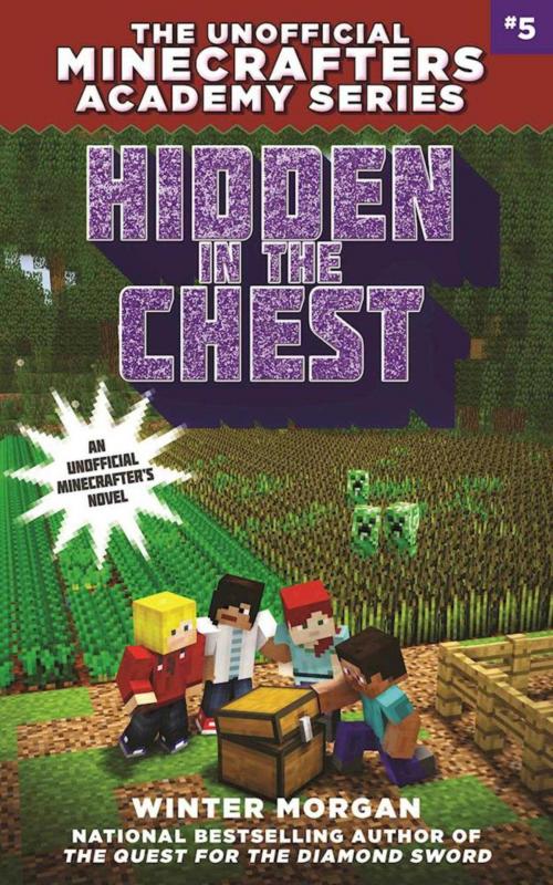 Cover of the book Hidden in the Chest by Winter Morgan, Sky Pony