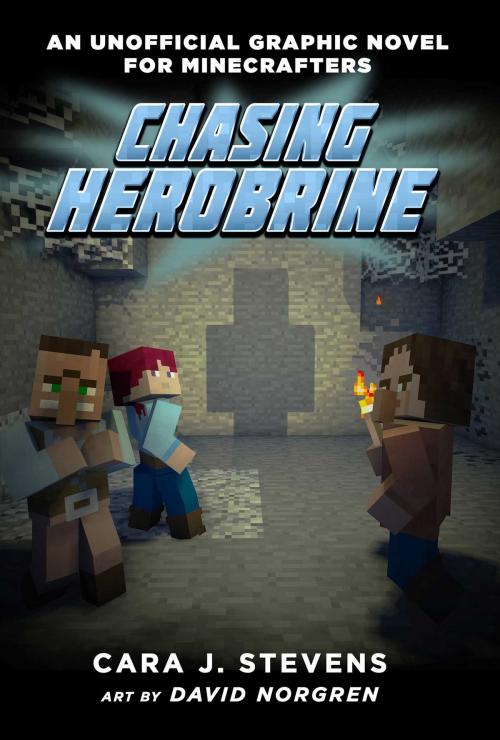 Cover of the book Chasing Herobrine by Cara J. Stevens, Sky Pony