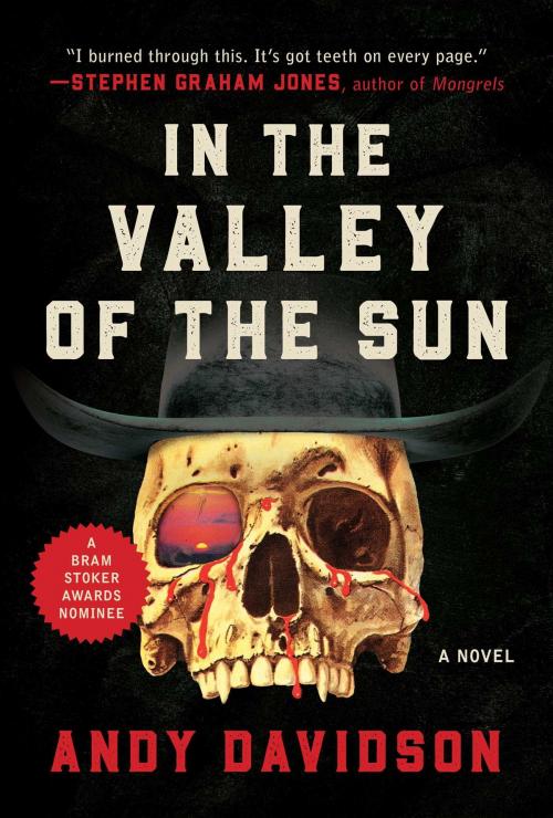 Cover of the book In the Valley of the Sun by Andy Davidson, Skyhorse