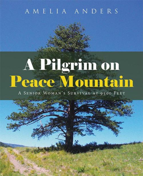 Cover of the book A Pilgrim on Peace Mountain by Amelia Anders, WestBow Press